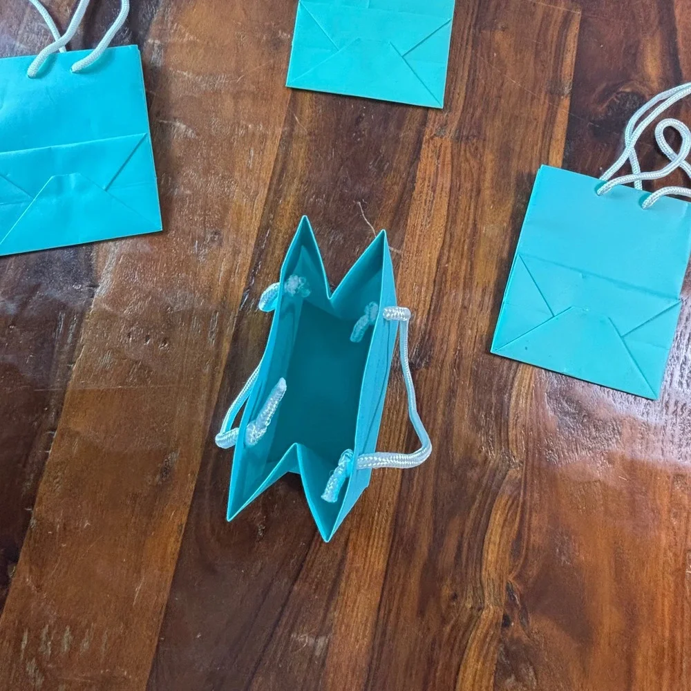 Tiffany & Co Mini Shopping Gift Bags Set of 4 Tiffany Blue Rope Handle Small